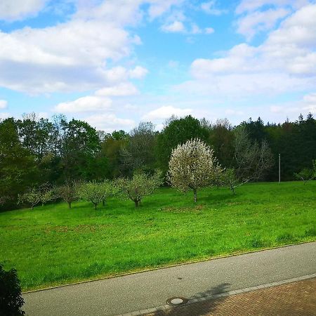 Ein Appartement Und Ein Komfortzimmer In Malsch, Zwischen Karlsruhe, Rastatt Und Baden-Baden Malsch  Bagian luar foto
