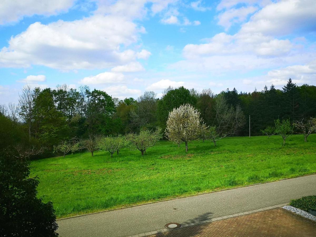 Ein Appartement Und Ein Komfortzimmer In Malsch, Zwischen Karlsruhe, Rastatt Und Baden-Baden Malsch  Bagian luar foto